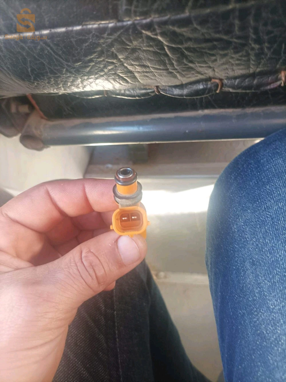 انجكثور ألطو نوفو