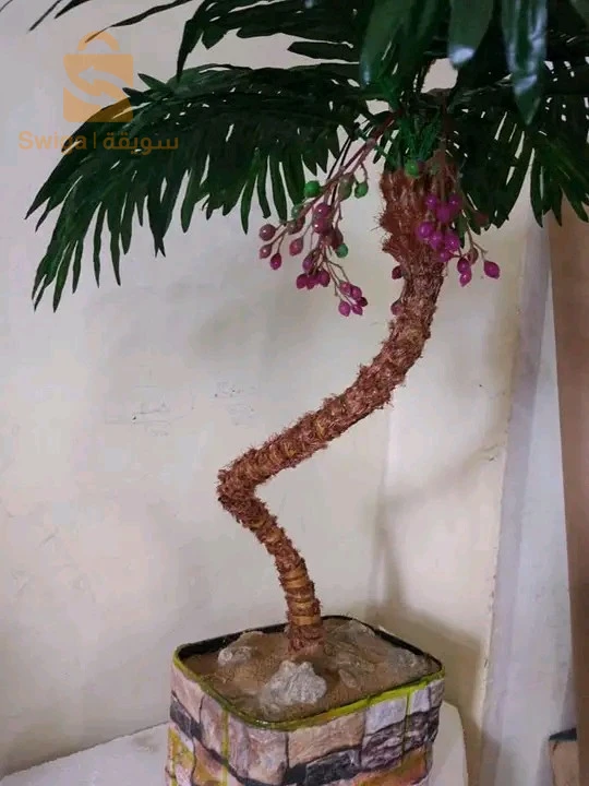 ديكوراة