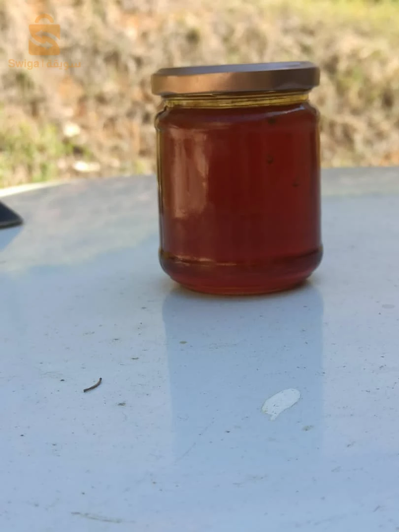 عسل السدر