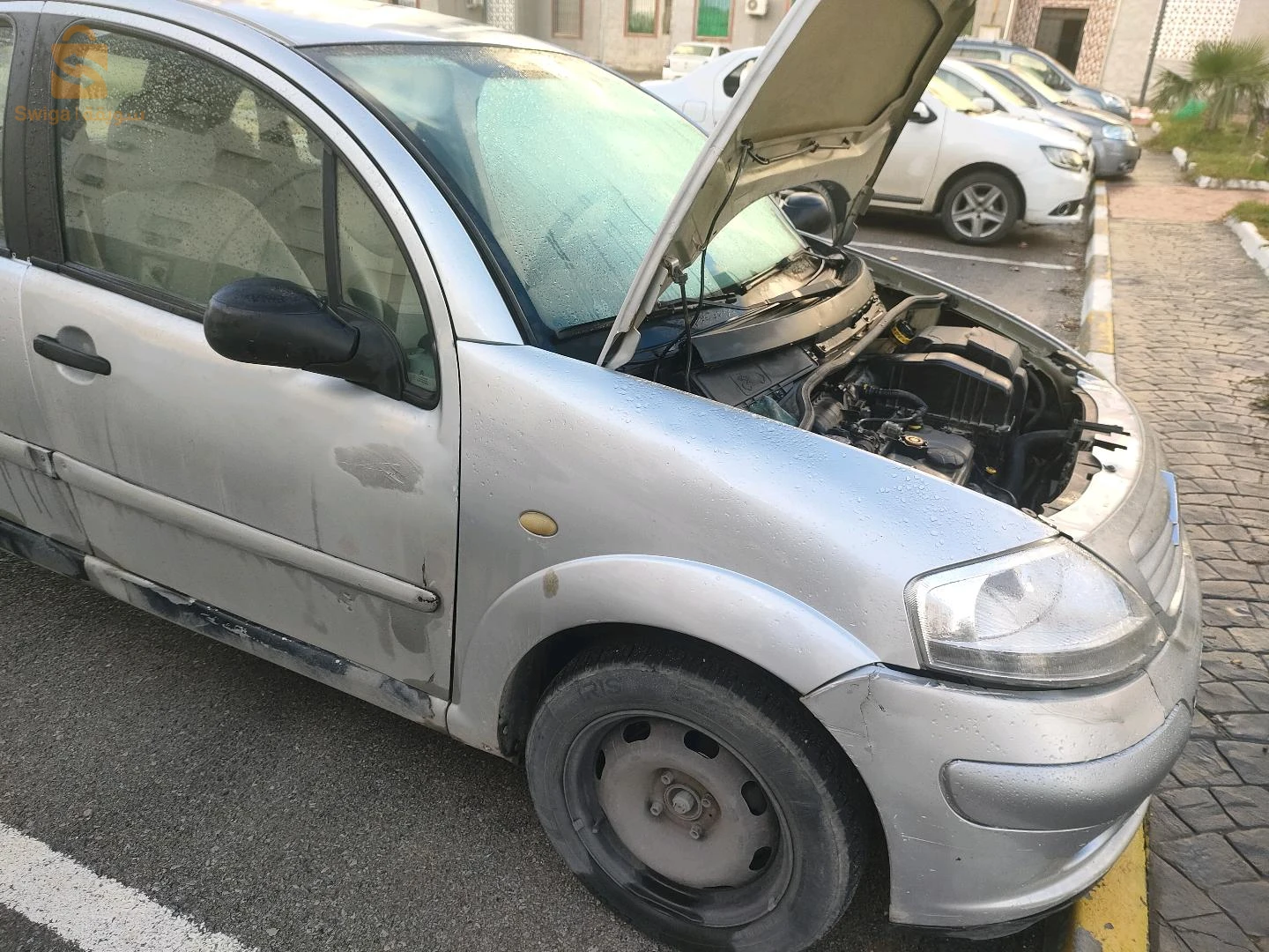 الطارف