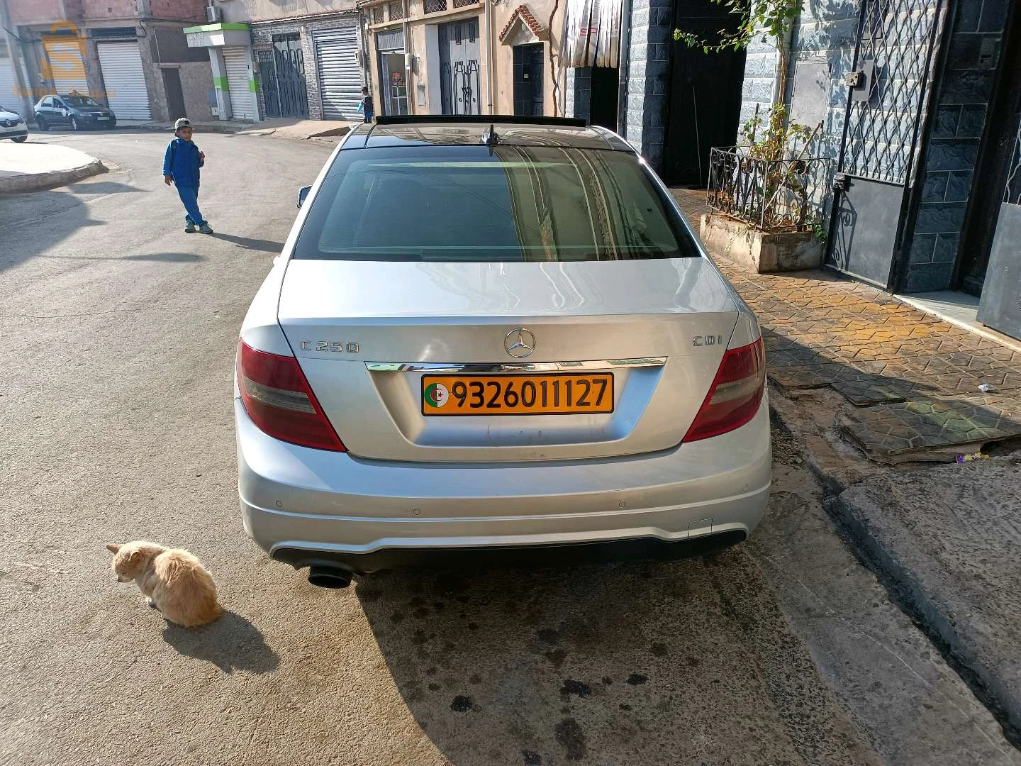 Mostaganem