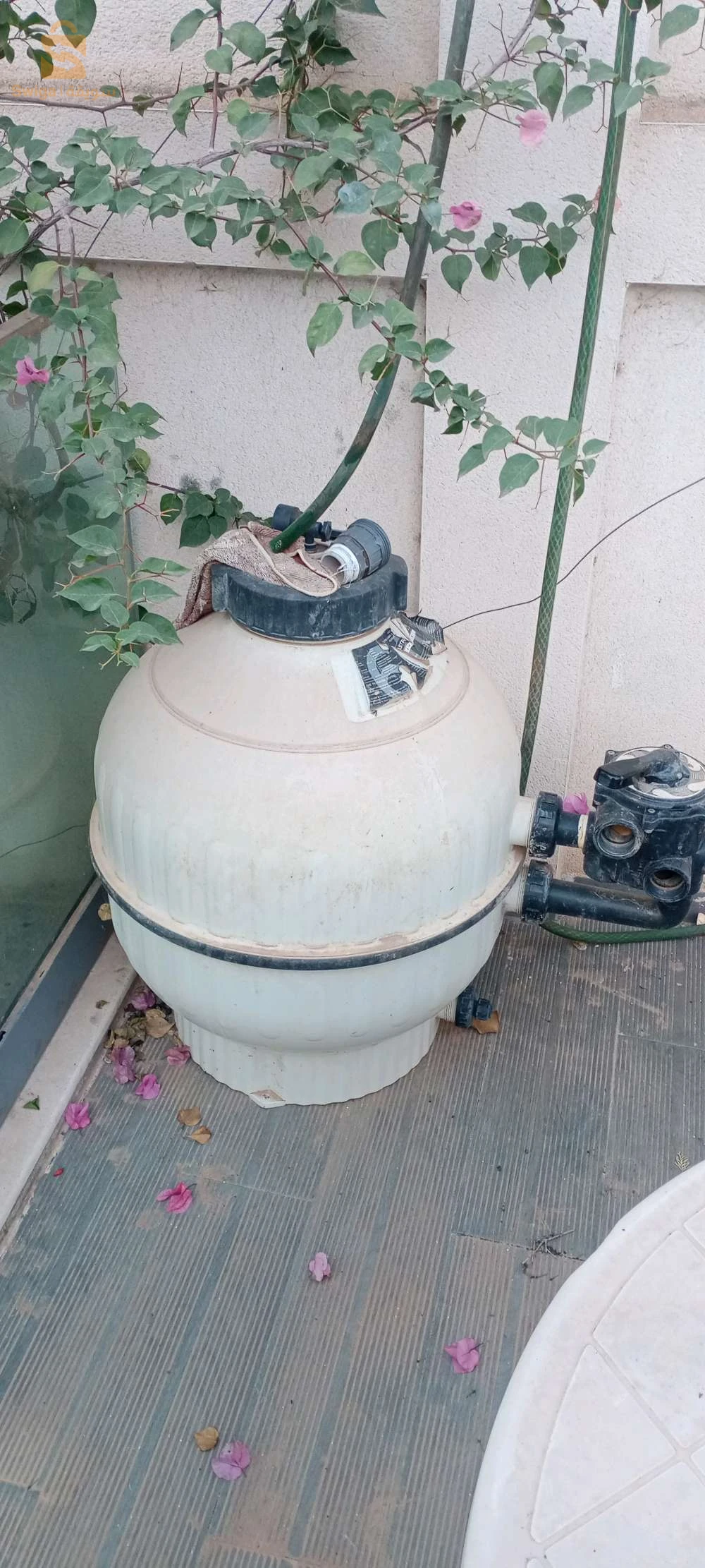 فيتر بسين