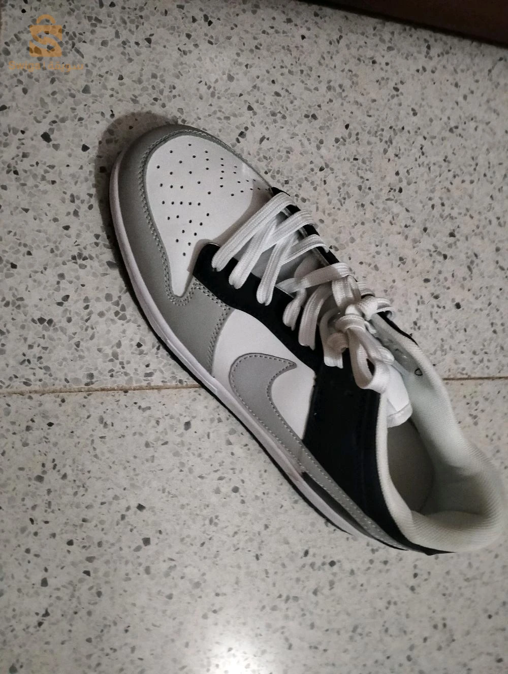 شارع بن باديس اربعه شراقة