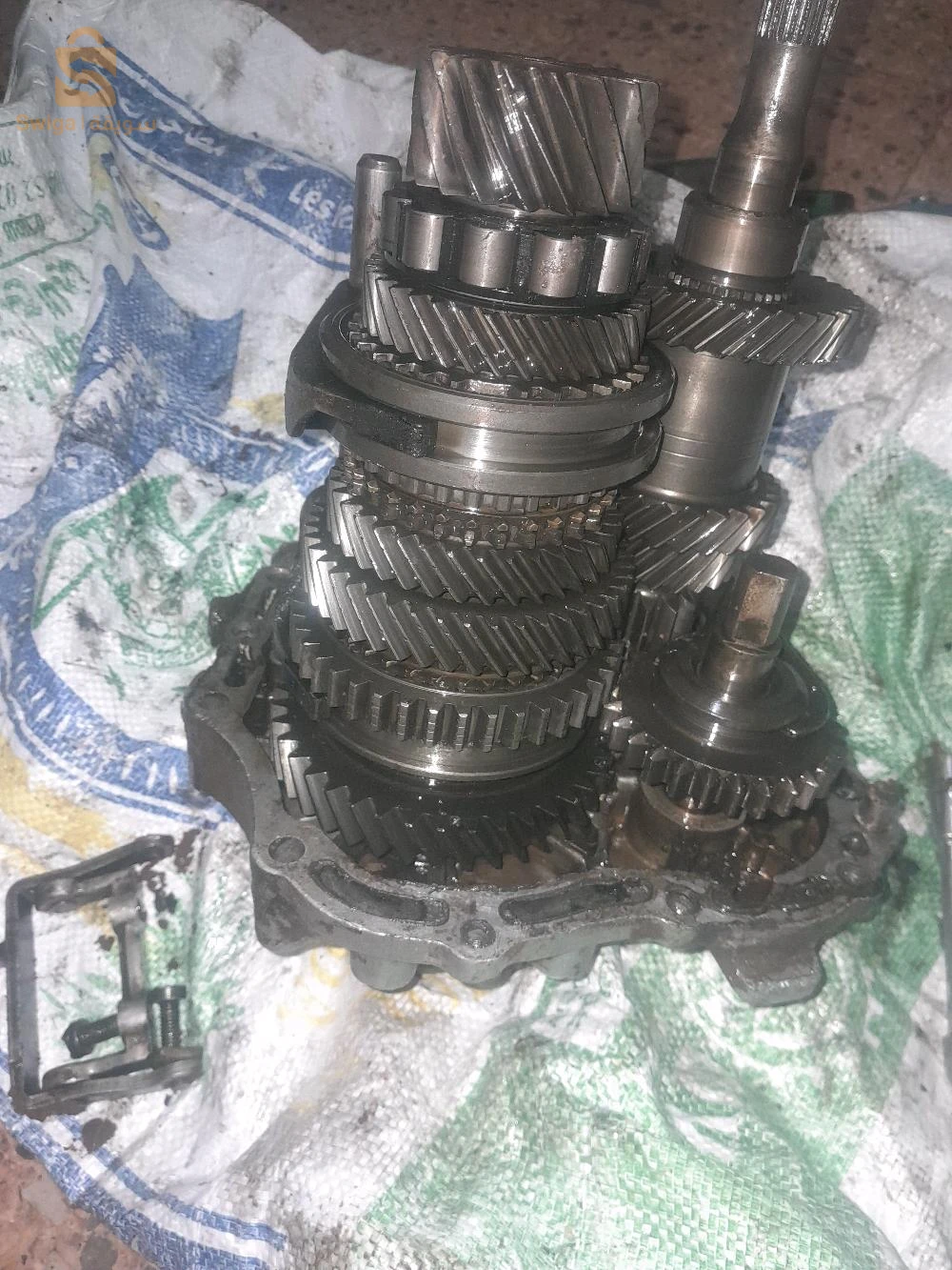 مشرية ولاية نعامة