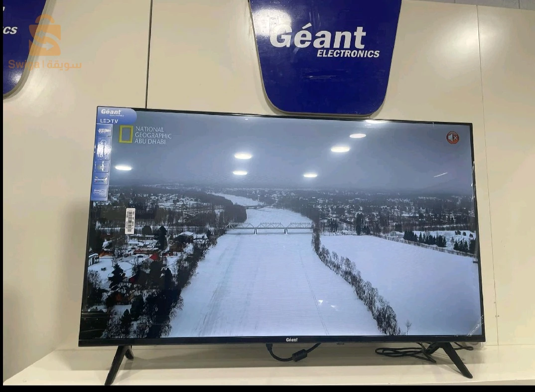 جيون 43 عادي