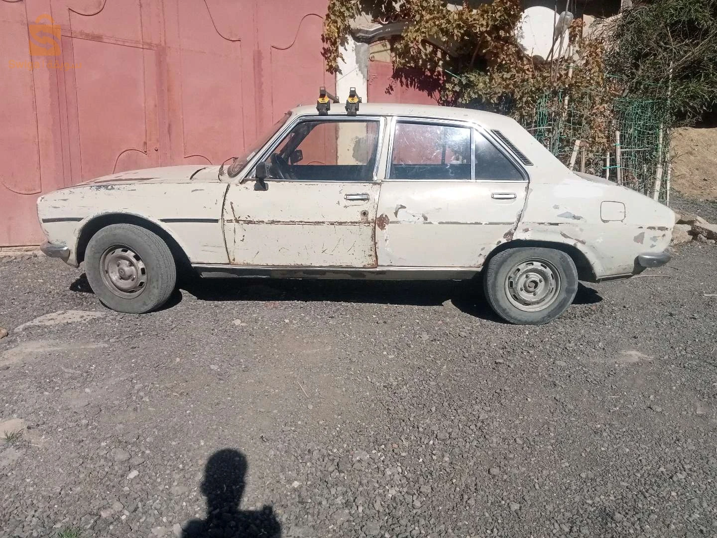 المدية