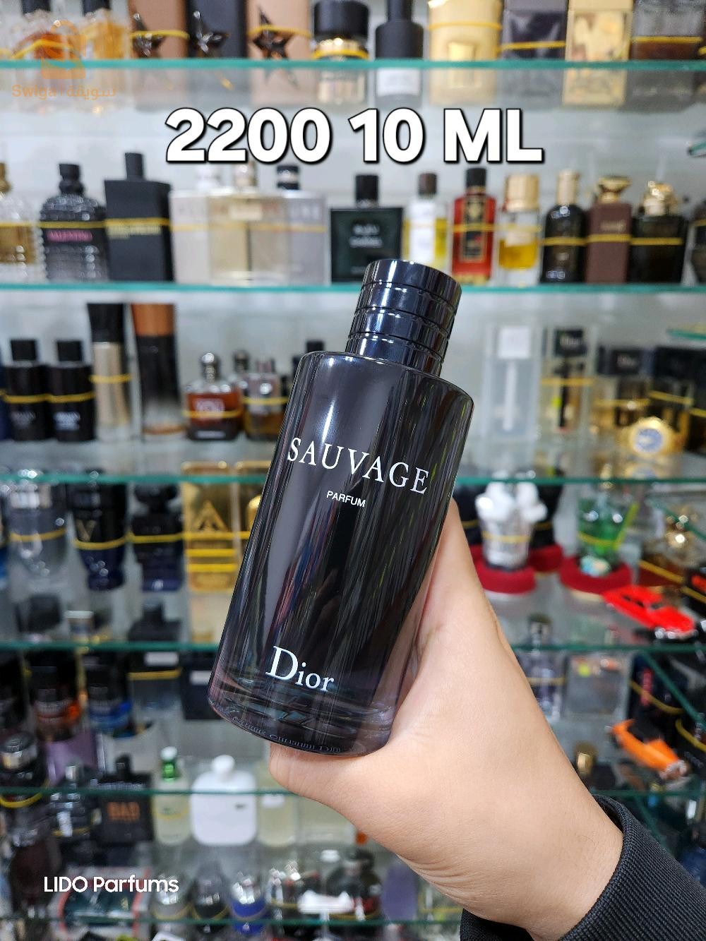بيع و تقسيم العطور الأصلية