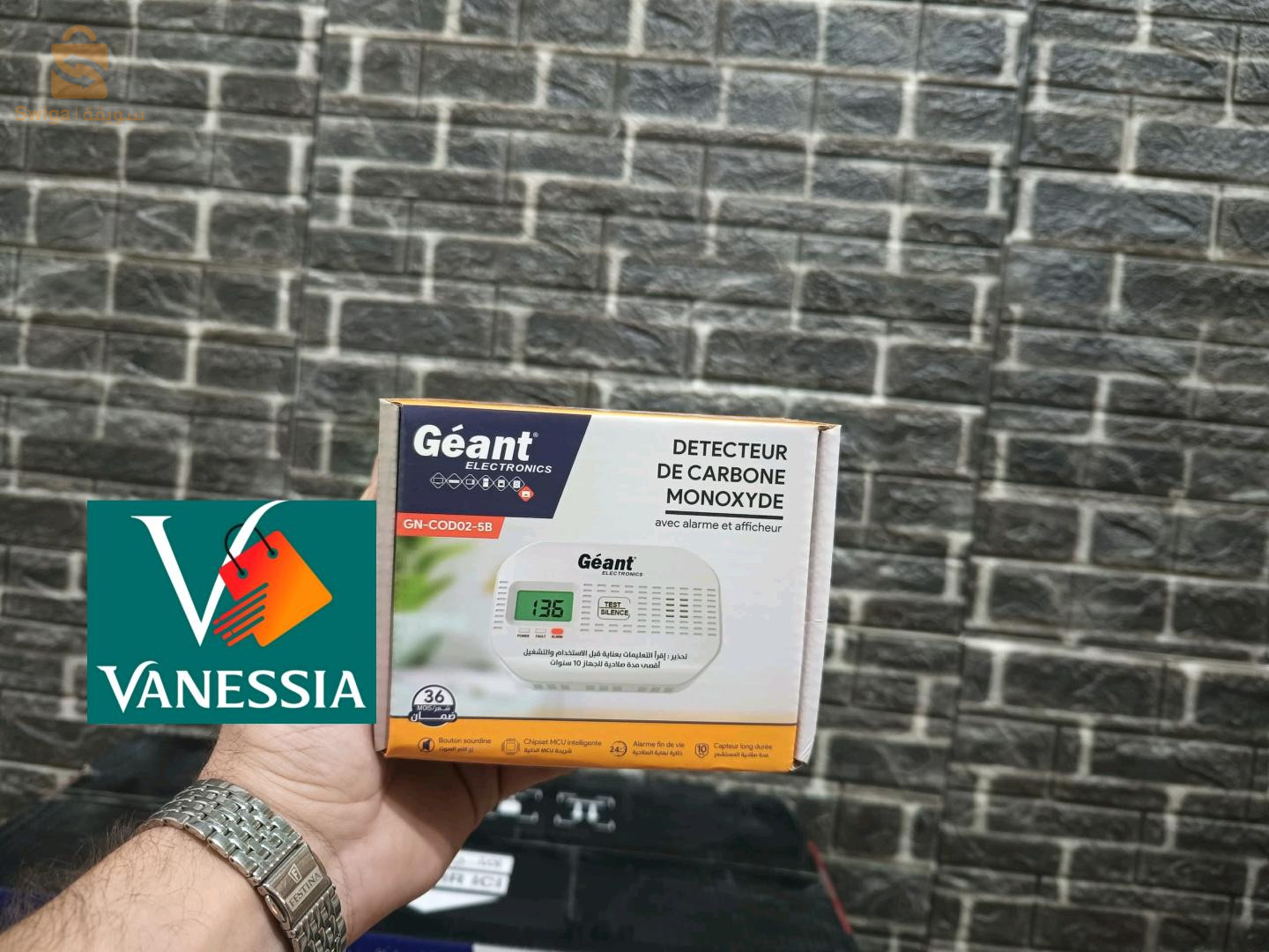 Chauffage marque géant 11kw