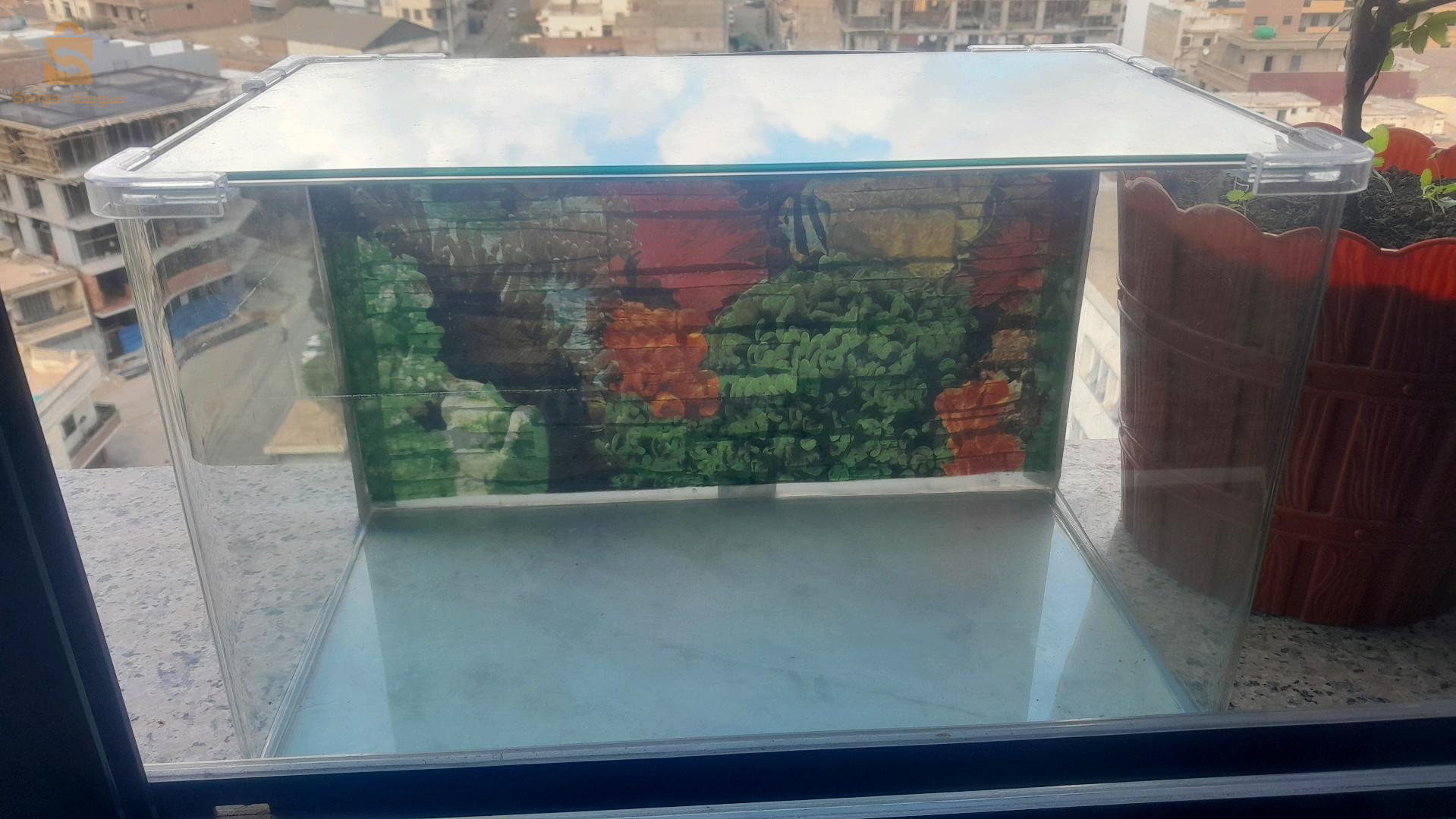 بلونجي ولاية وهران