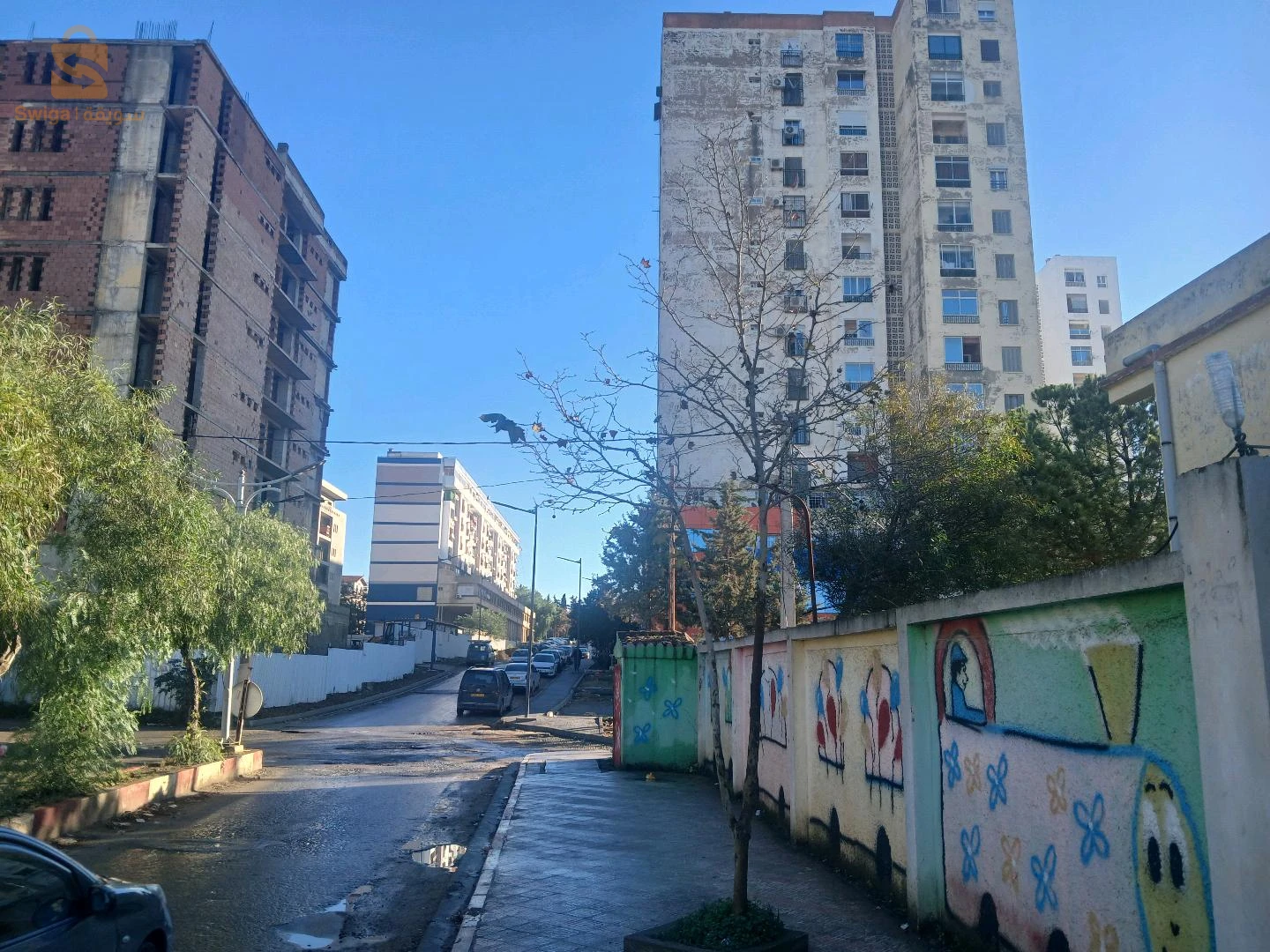 حي زواوي  بن عودة القليعة تيبازة