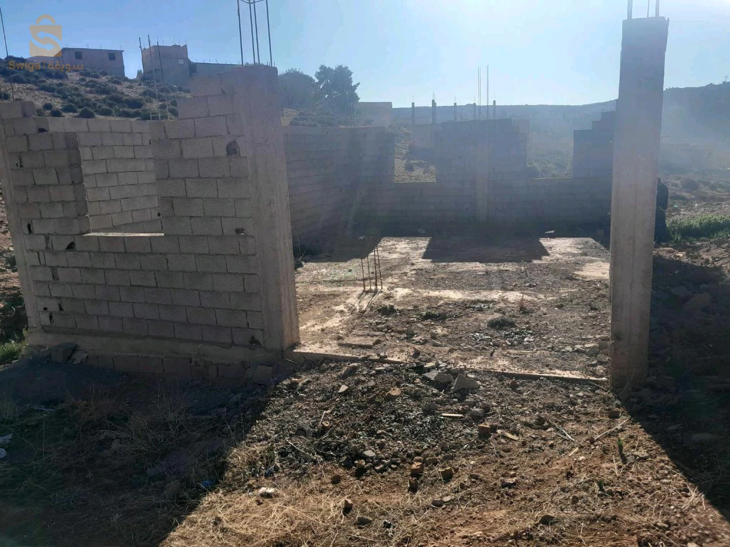 عوشبة ولاية تلمسان