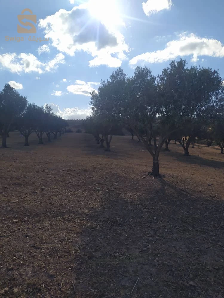 Terre agricole a Zahana 14r