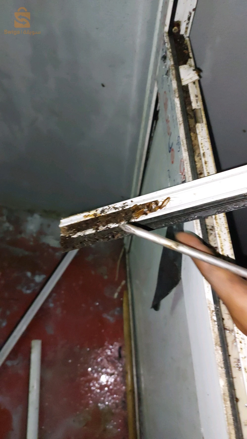 entreprise spécialisée dans les traitements anti nuisibles