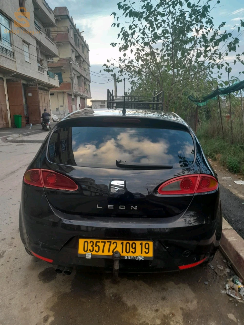 سيات Leon 2009 16 الجزائر