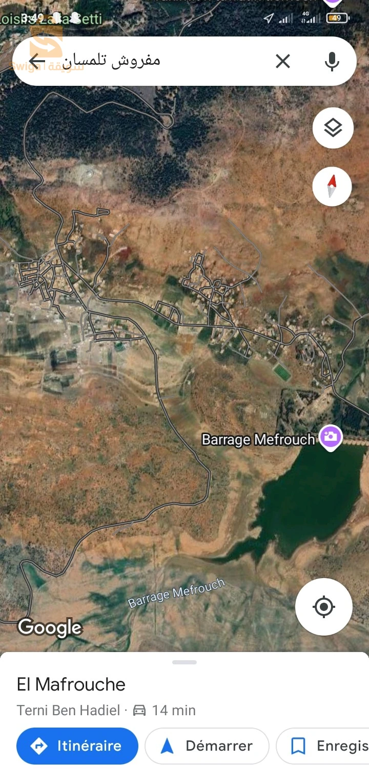 حب بودغن تلمسان