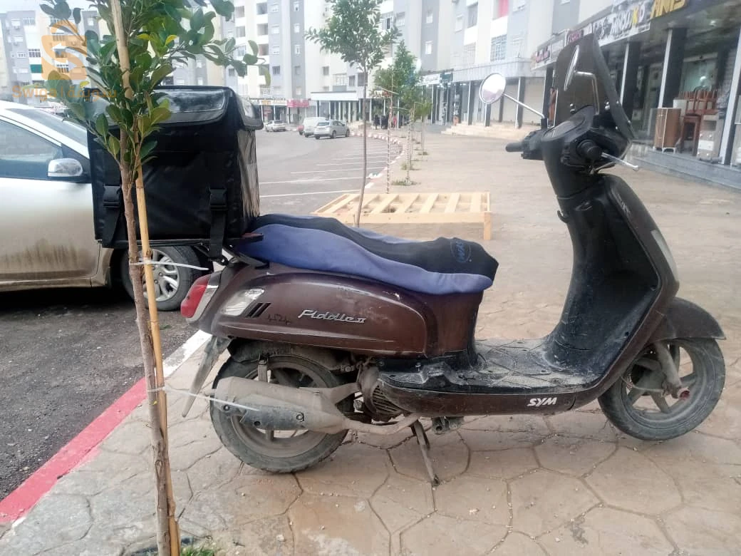 fidelle 2014 motor w