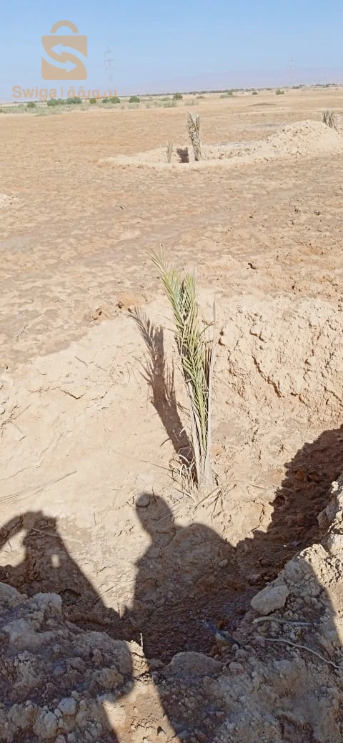 قطعة ارض فلاحية للبيع