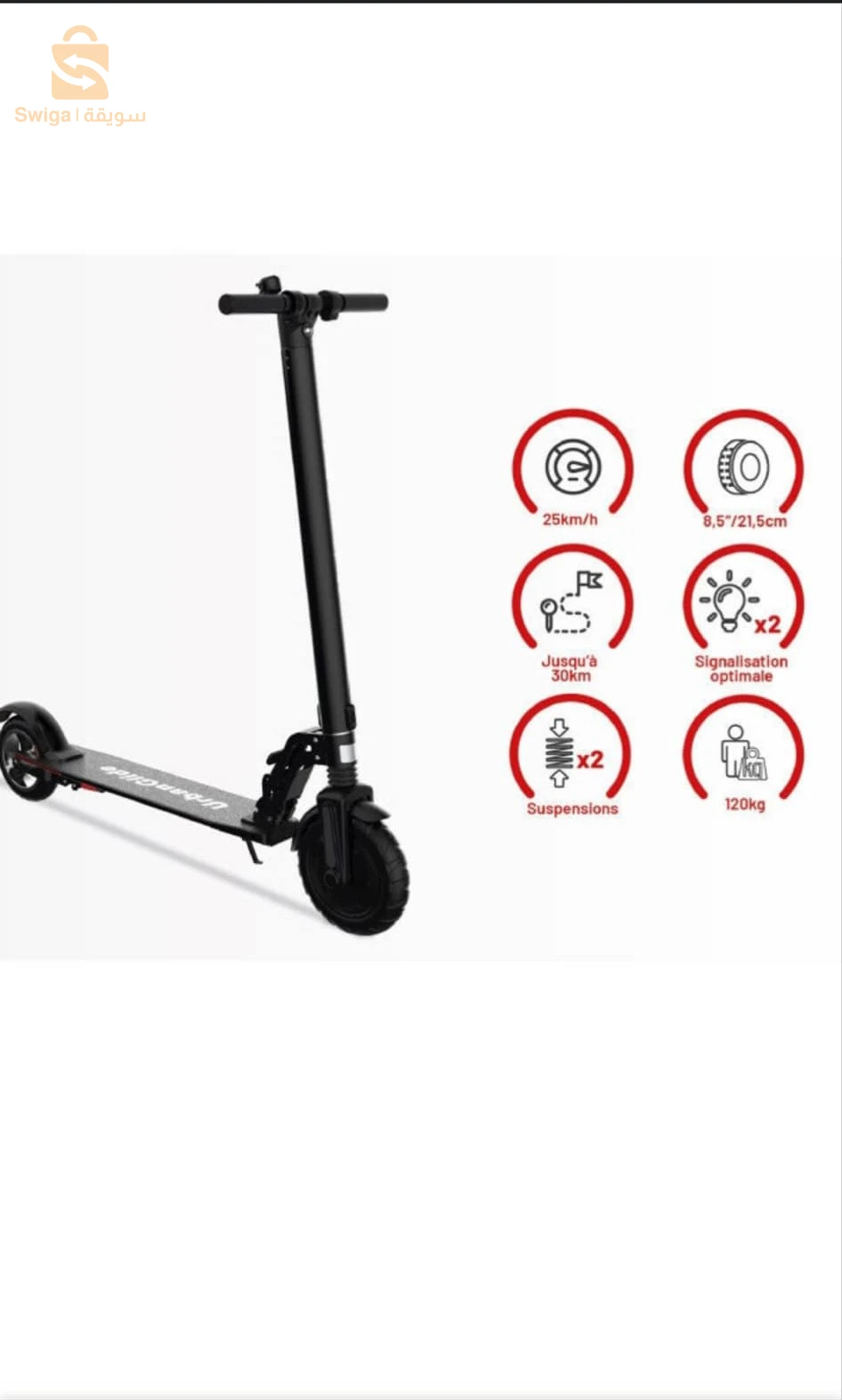 البليدة بونعامة الجيلالي