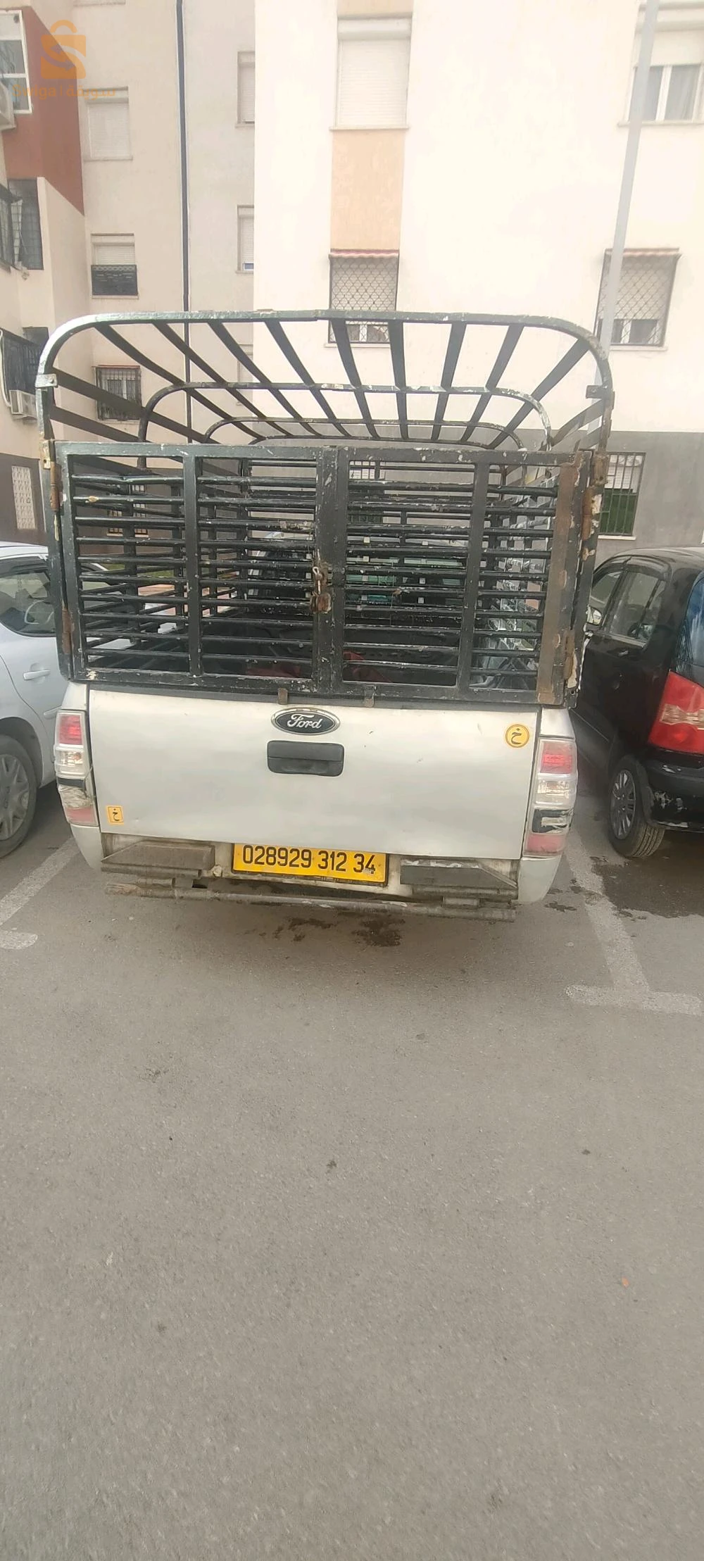 فورد Ranger 19 سطيف