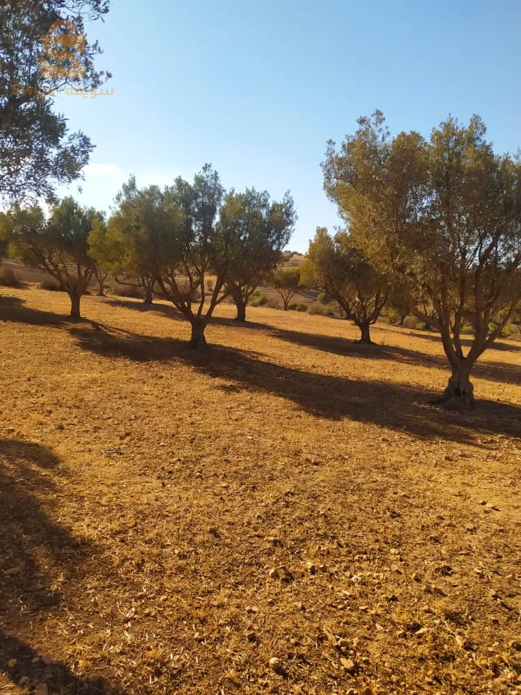 Terre agricole a Zahana 14r