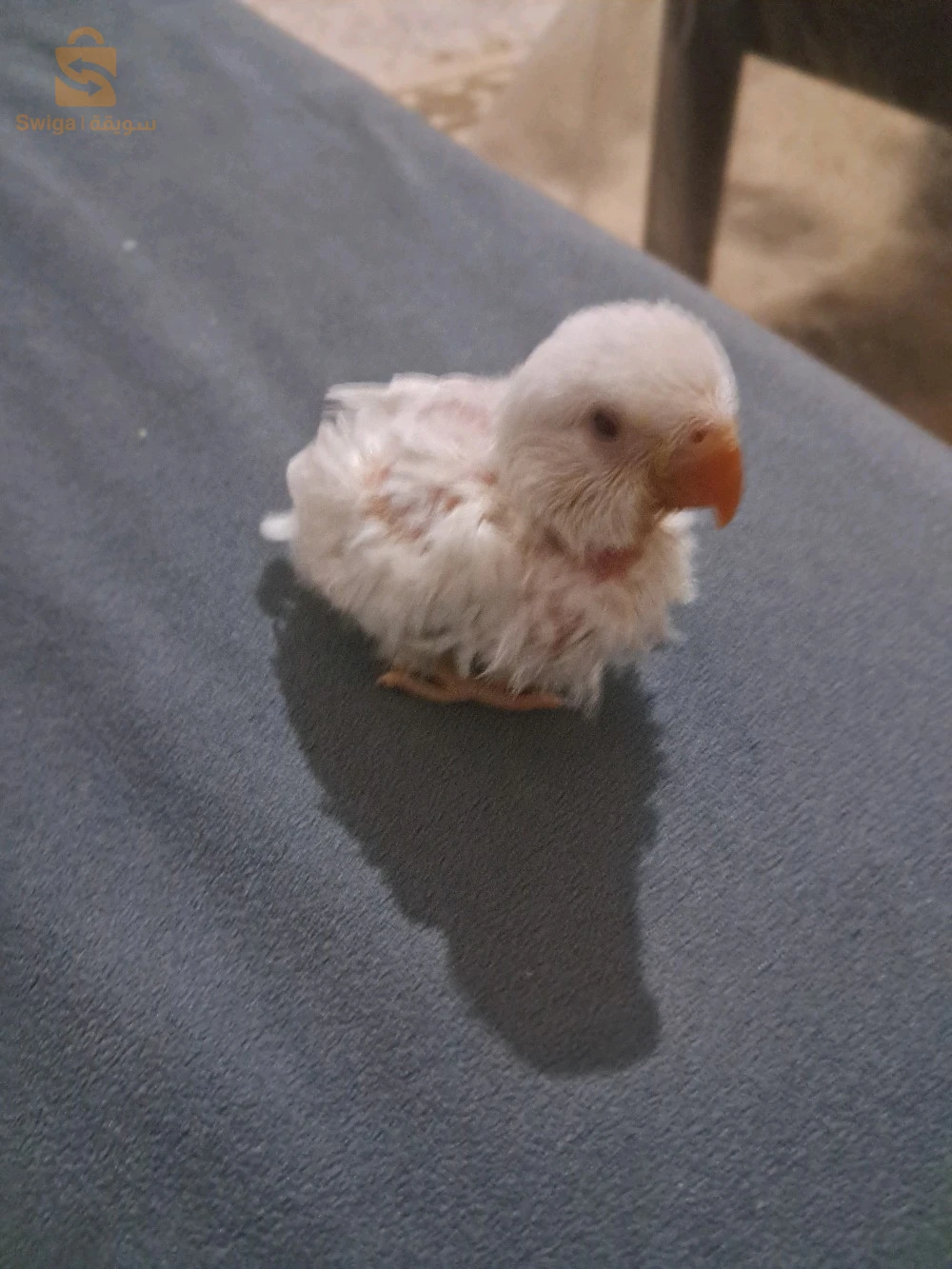 للتكيل اليدوي