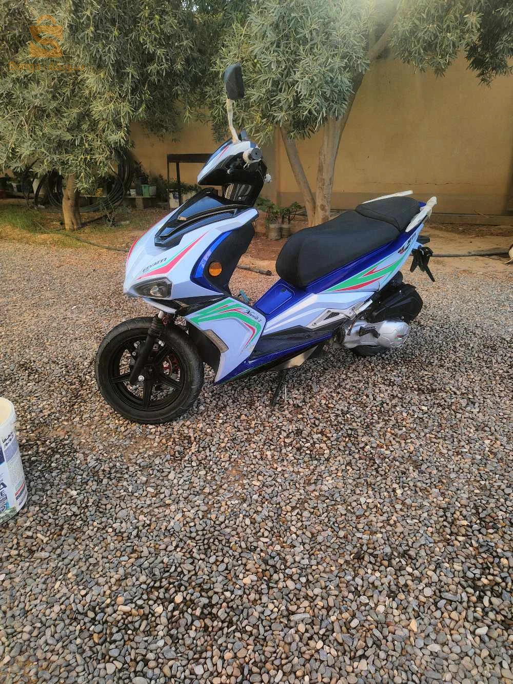 فيسبا