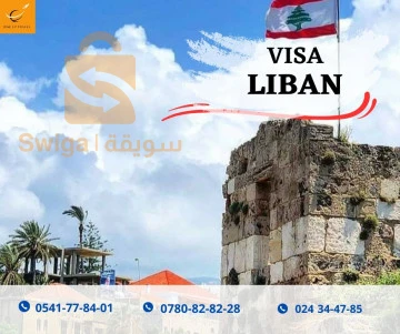 VISA LIBAN ELECTRONIQUE