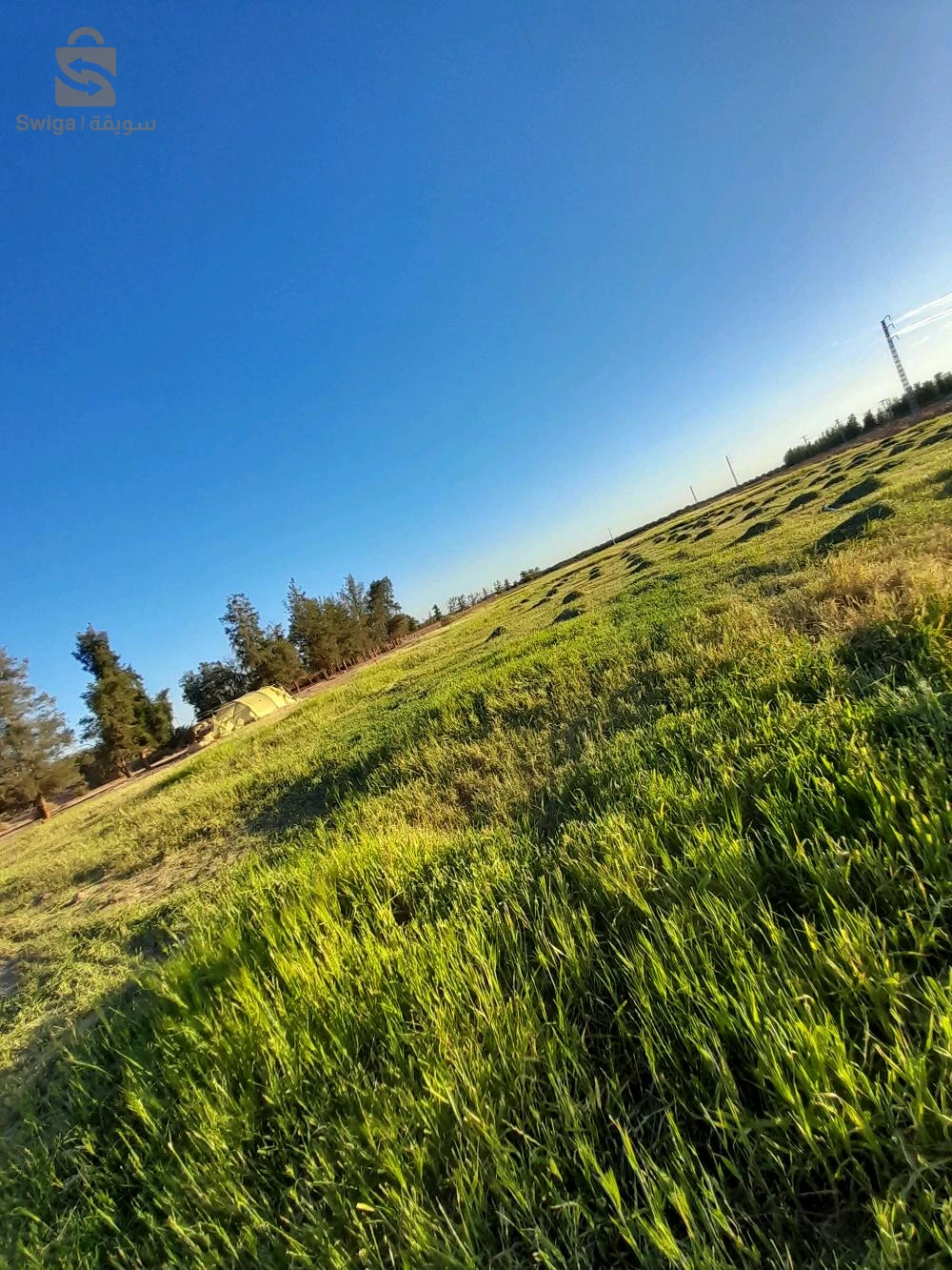 سلام عليكم 
اعلان عن بيع قطعة ارض فلاحية بعقد ملكية تبتعد عن طريق ولائي اولاد جلال ليوة.. بسكرة حوالي 1000 متر بمنطقة ذراع رمل بلدية دوسن 
_ مساحة فارغة 8 هكتارات 
مساحة مغروسة 👇
_ توجد فيها حوالي 250 نخلة تقطع (واجدة) 
_ توجد فيها حوالي 270 جبارة يترواح عمرها مابين عامين ونصف الى ثلاثة 
_توجد فيها كهرباء 
_يوجد فيها بئر ارتوازي عمق 100 متر
_ يوجد فيها بئر اخر (فوراج اناب) عمق 480 متر 
_يوجد فيها منزلين منزل جاهز و اخرى غير جاهزة 
مهتم يتصل 0553089411
_ لا ارد على تعليق من فضلكم