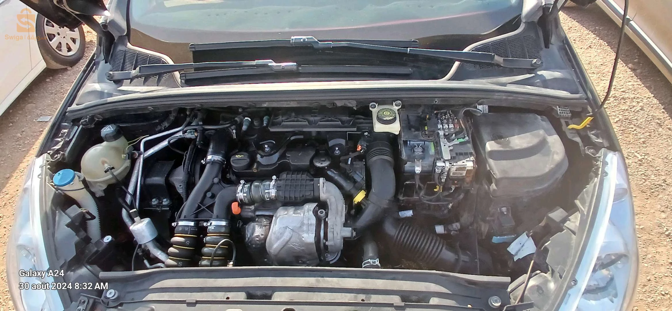 بيجو 308 2013 25 قسنطينة