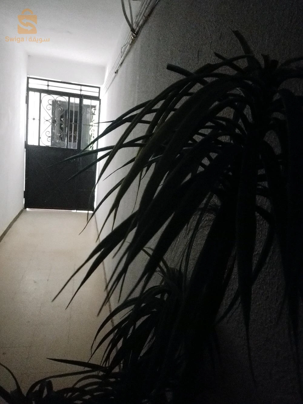 شقة سكنية رائعة ومكان هادئ قريبة من البحر والطريق البحري سطاوالي عين بنيان الجزائر على الساحل
ثلاث غرف مع امكانية تحويلها الى اربع غرف معاودة 
دوش ايطالي وابواب الومنيوم وباب خارجي اضافي مع ثللث بالكونات 
للمزيد من المعلومات اتصل على الرقمين 
0667803830
0661541264