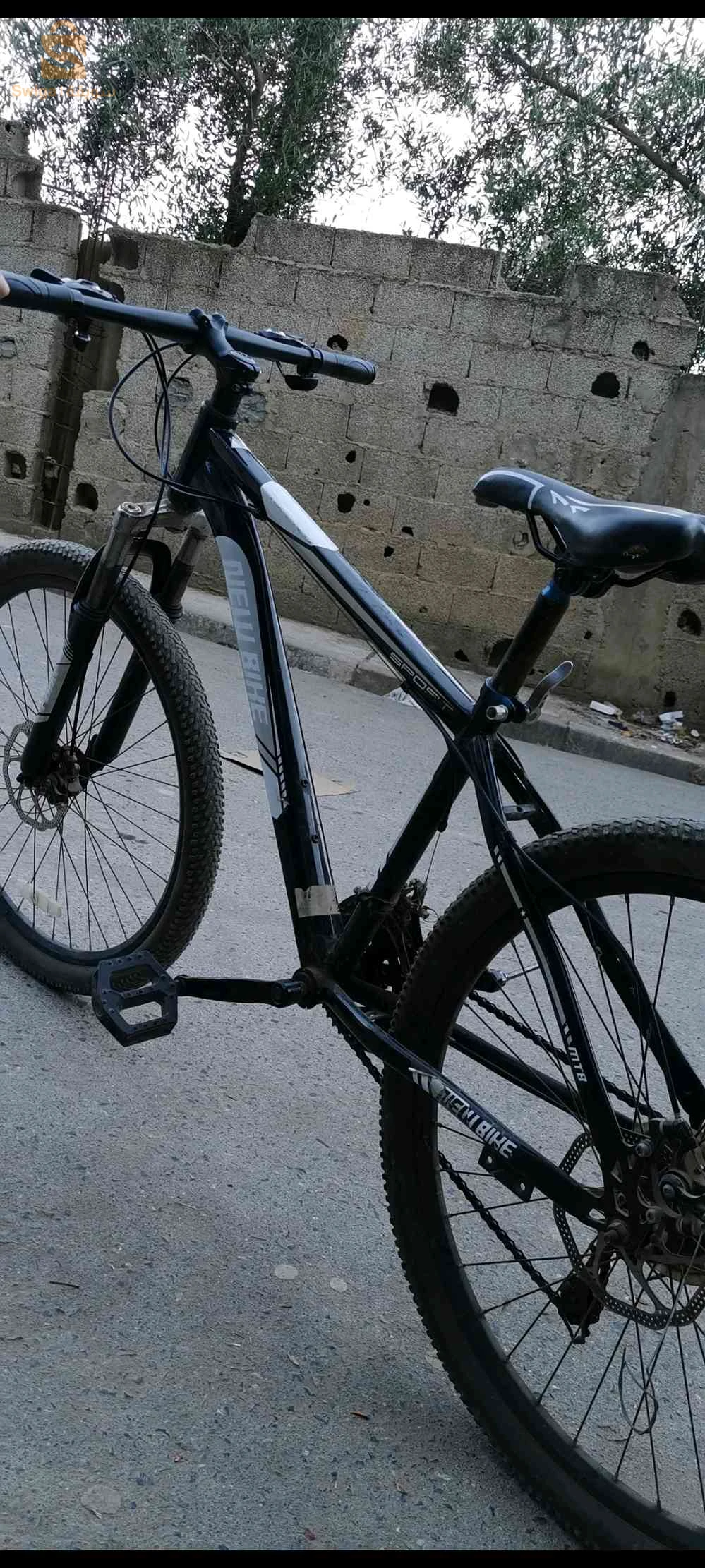 البويرة الاخضارية حمانة