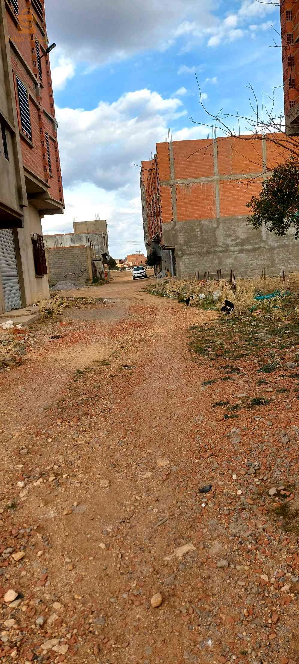كعوان قرب قاعة الأفراح سلطاني