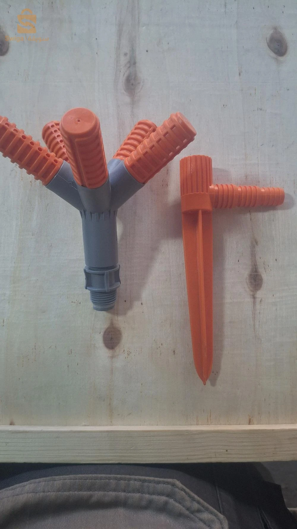 belhadriramadan1@gmail.com