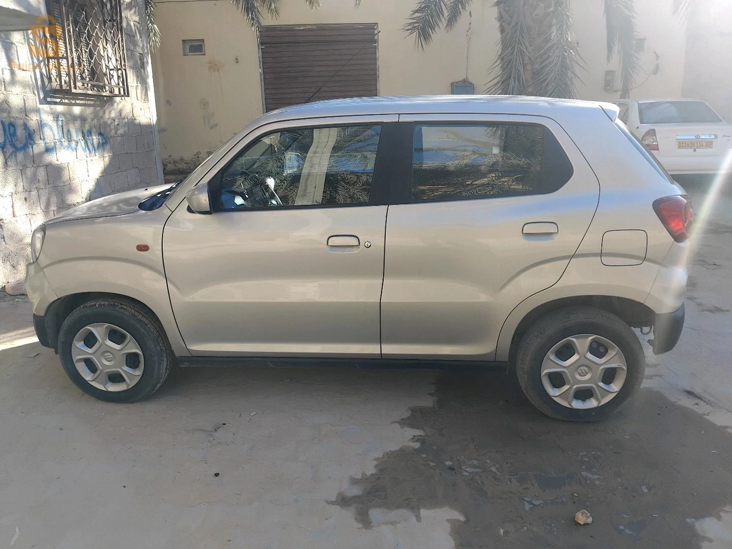 ورقلة رويسات