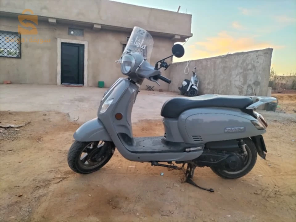 فدال 3 الله بارك 2021