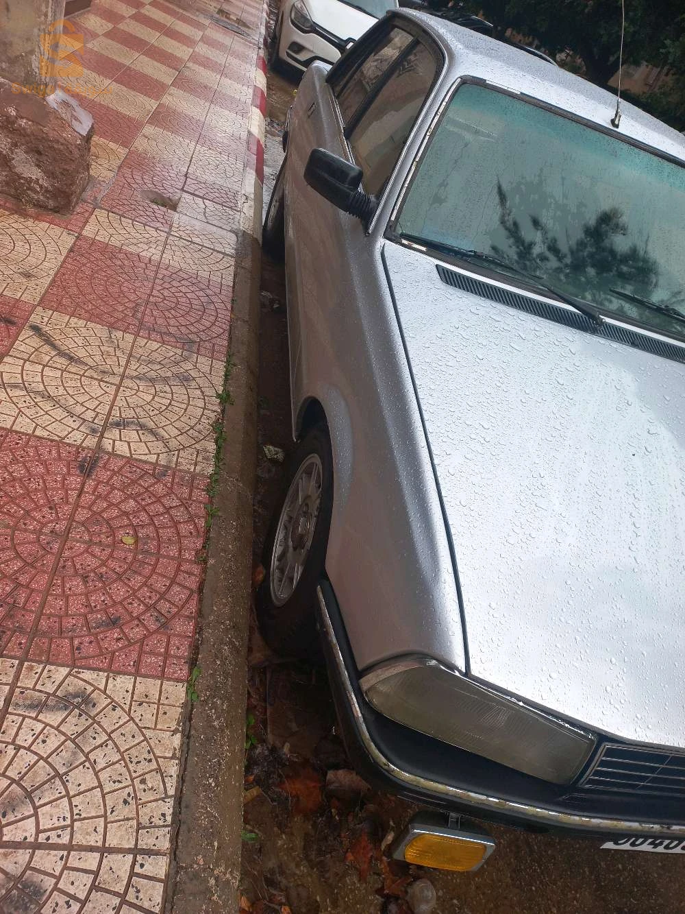Peugeot 505 1988 13 TLEMCEN
