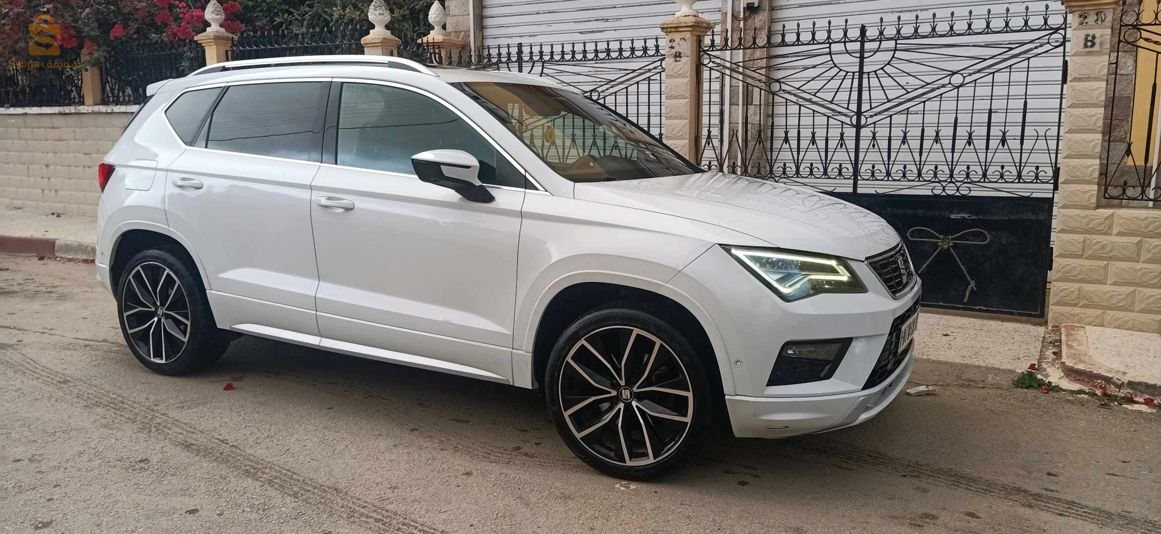 سيات Altea 2019 21 سكيكدة