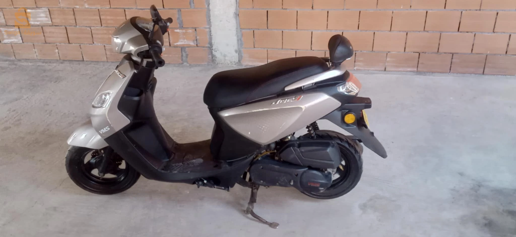 جوكي 2023 شابة بزاف