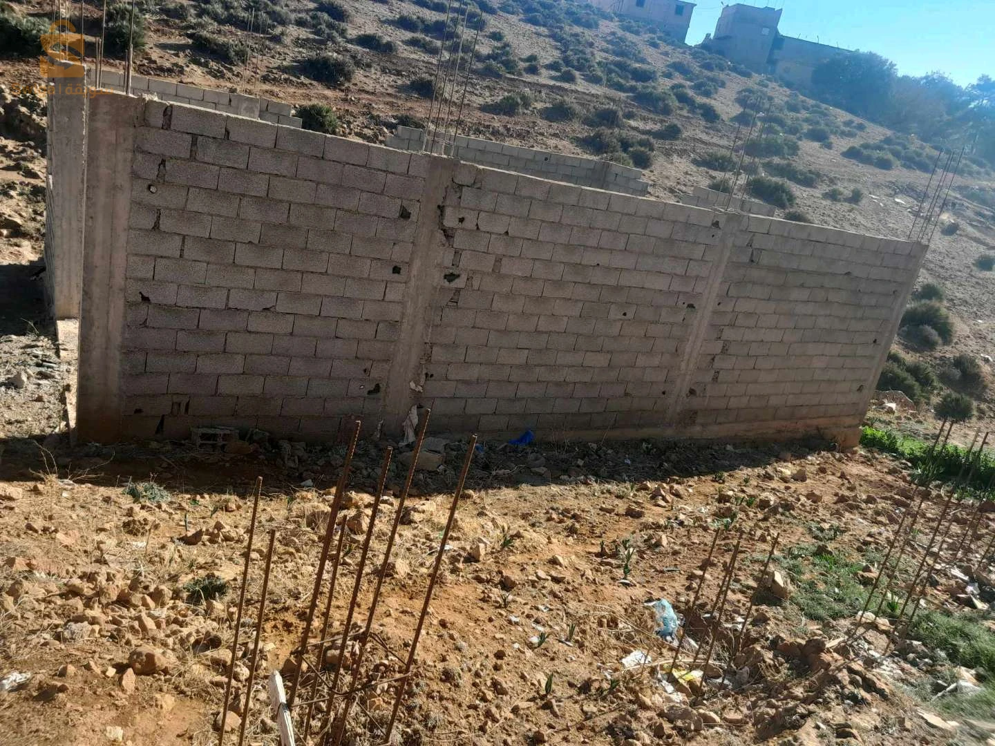 عوشبة ولاية تلمسان