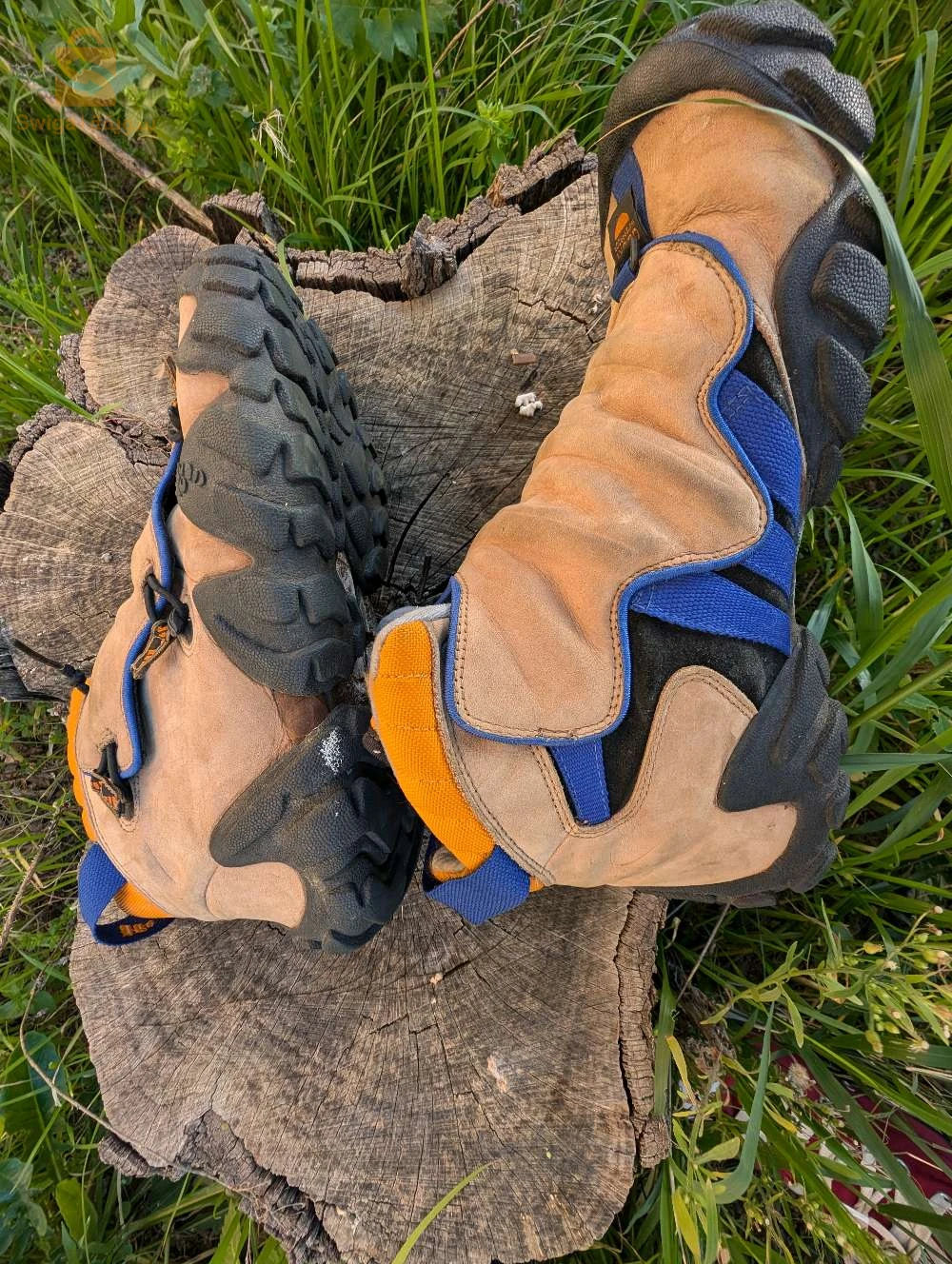 سلعة انجليزية حرة - Camping Adidas radlander EQT pantone IE6124-