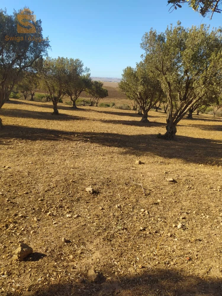 Terre agricole a Zahana 14r