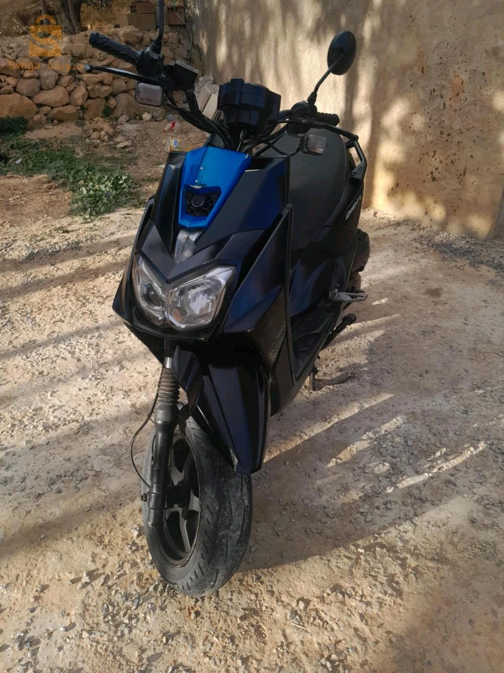 مازونة