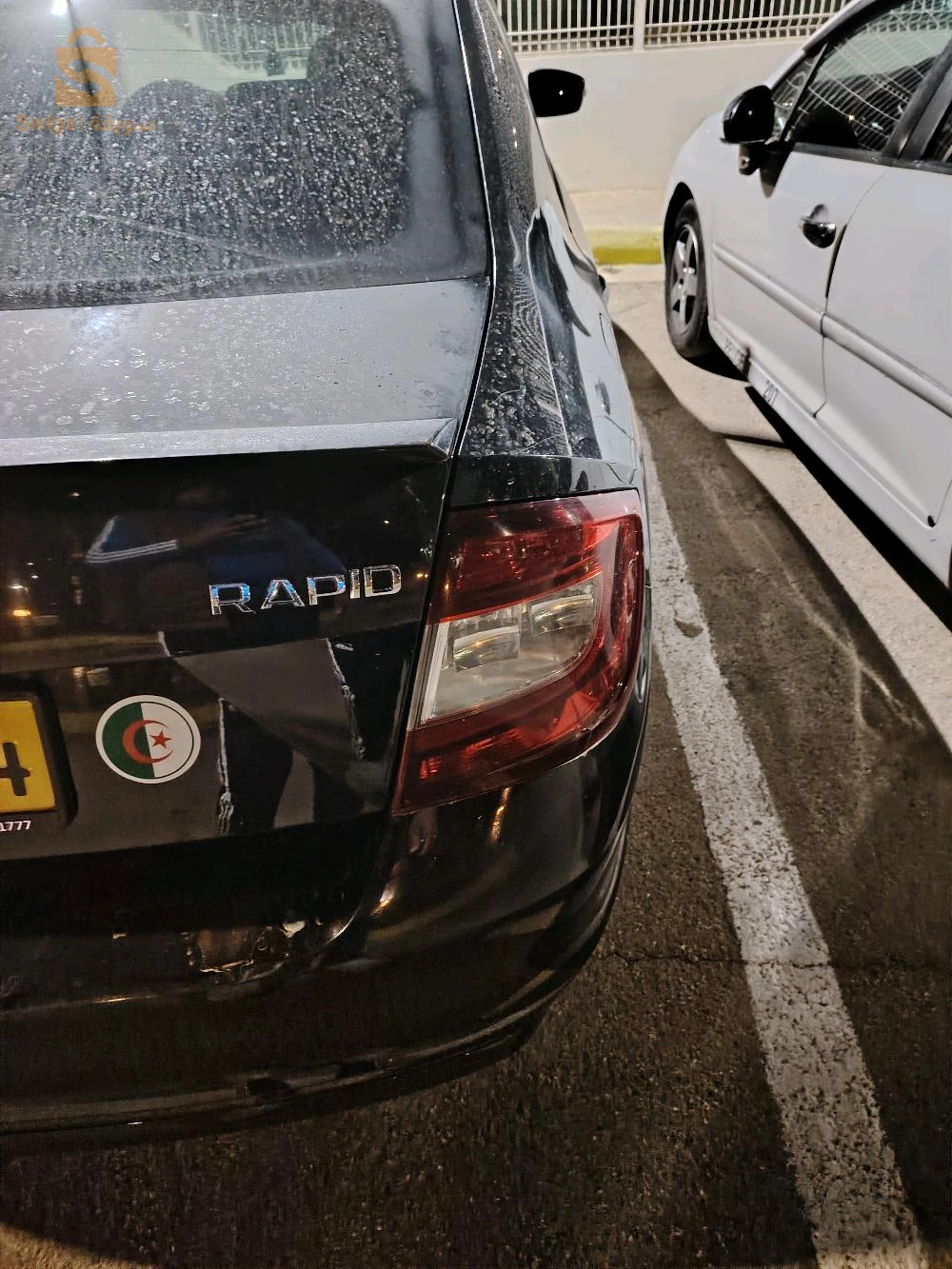 سكودا Rapid 2019 44 عين الدفلى