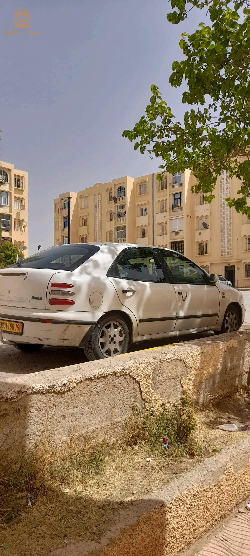 سطيف