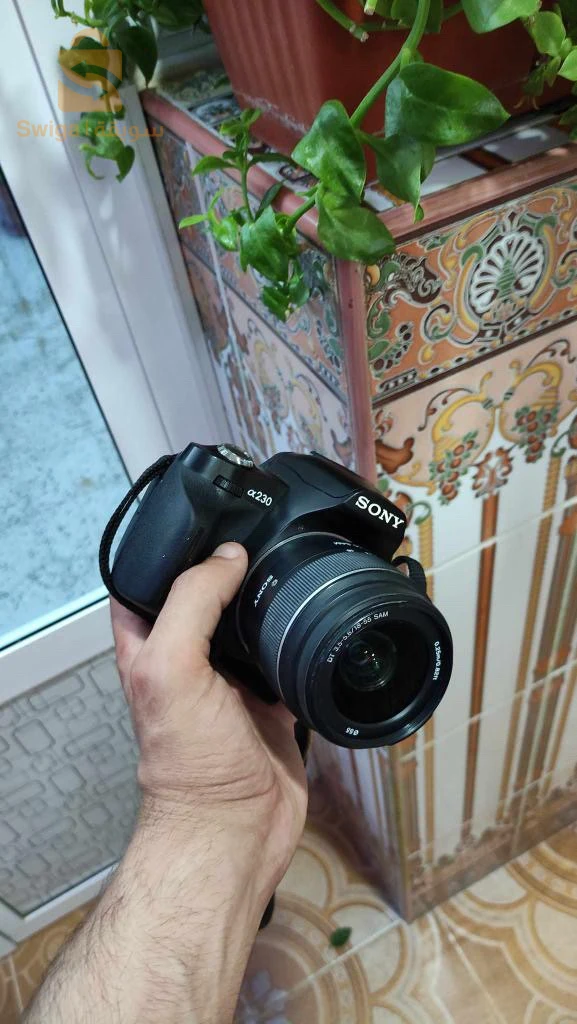 Sony
