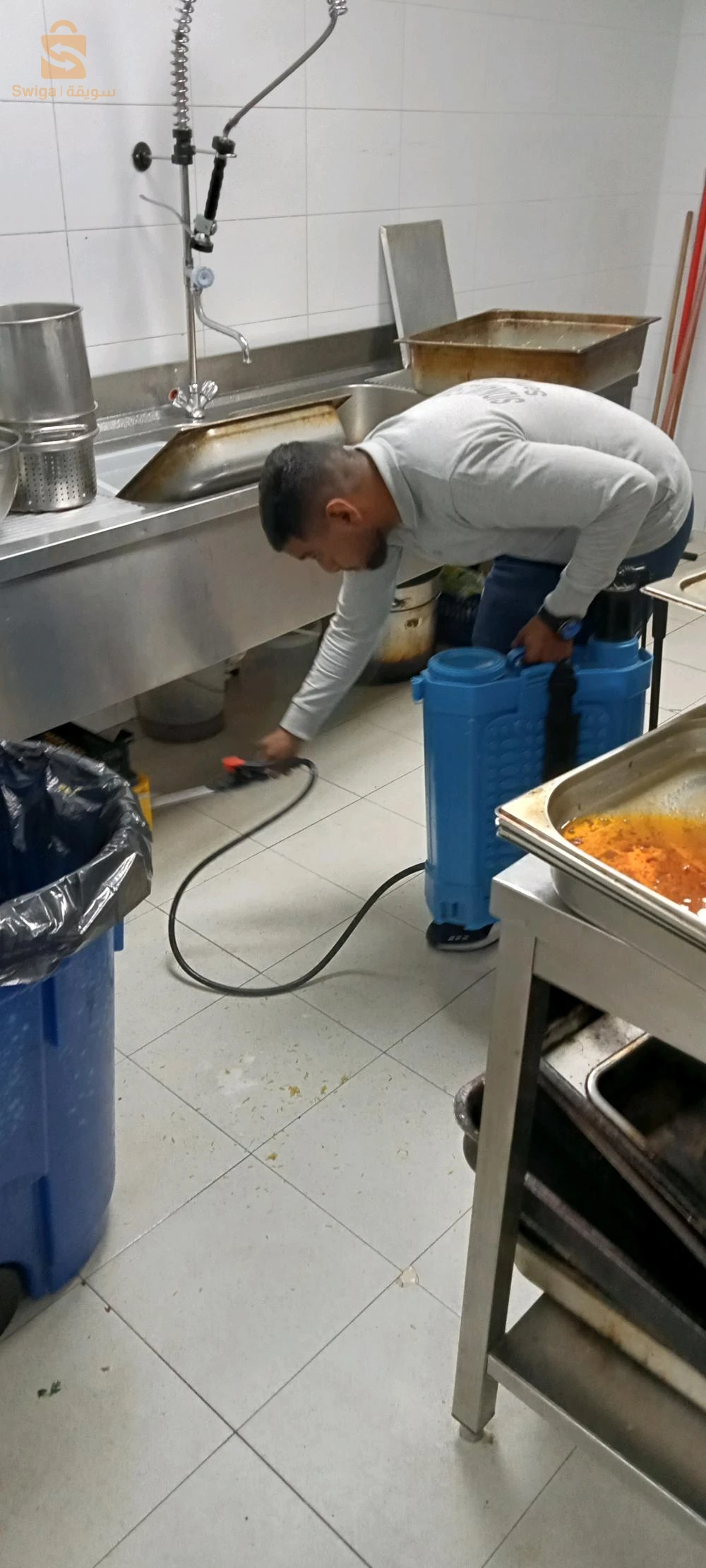 entreprise spécialisée dans les traitements anti nuisibles