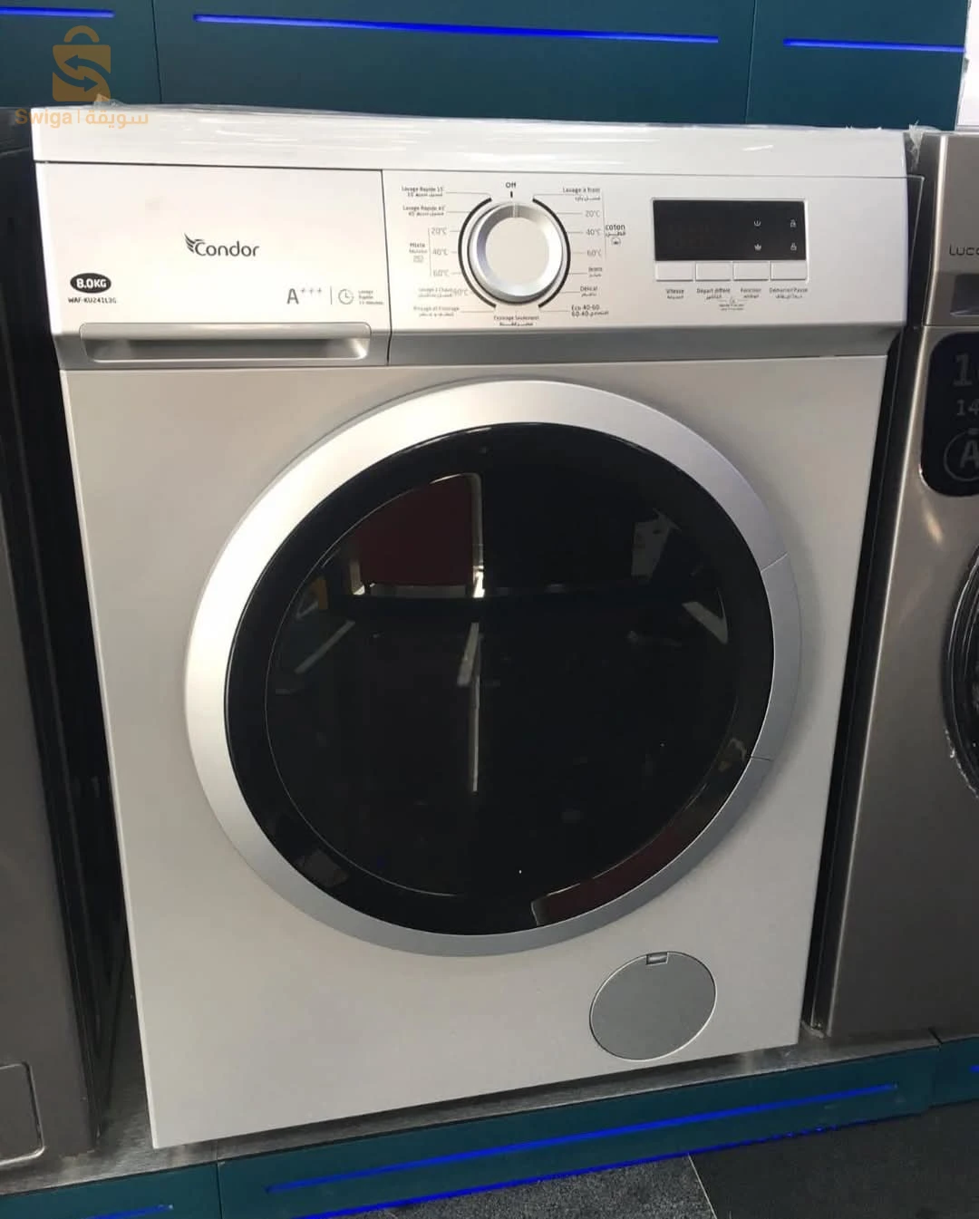 عسالة لولة من كوندور