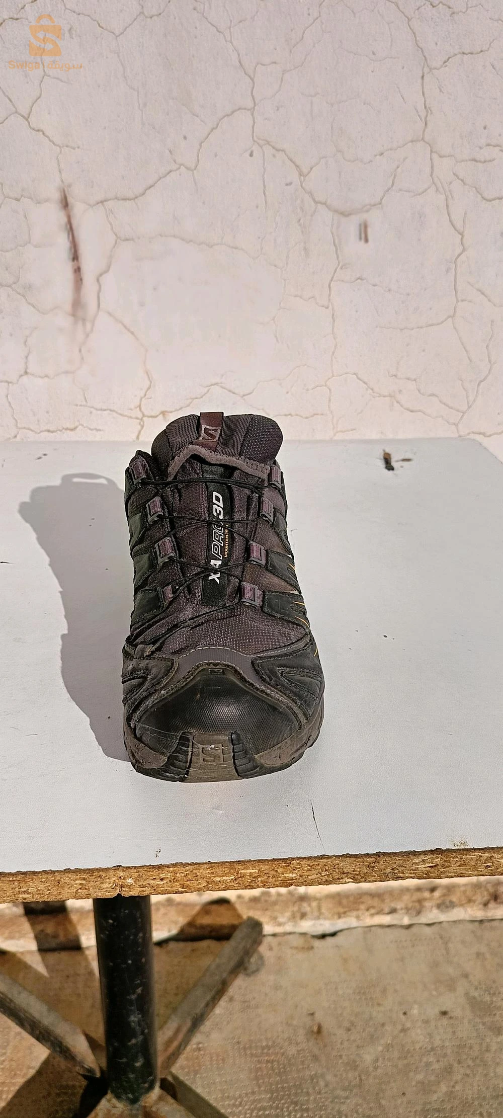 ترينينڨ حرة