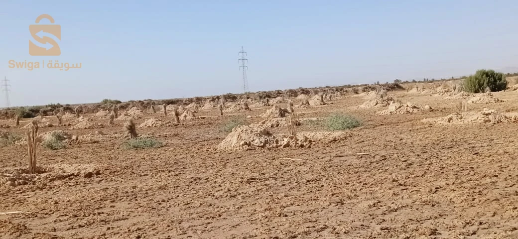 قطعة ارض فلاحية للبيع