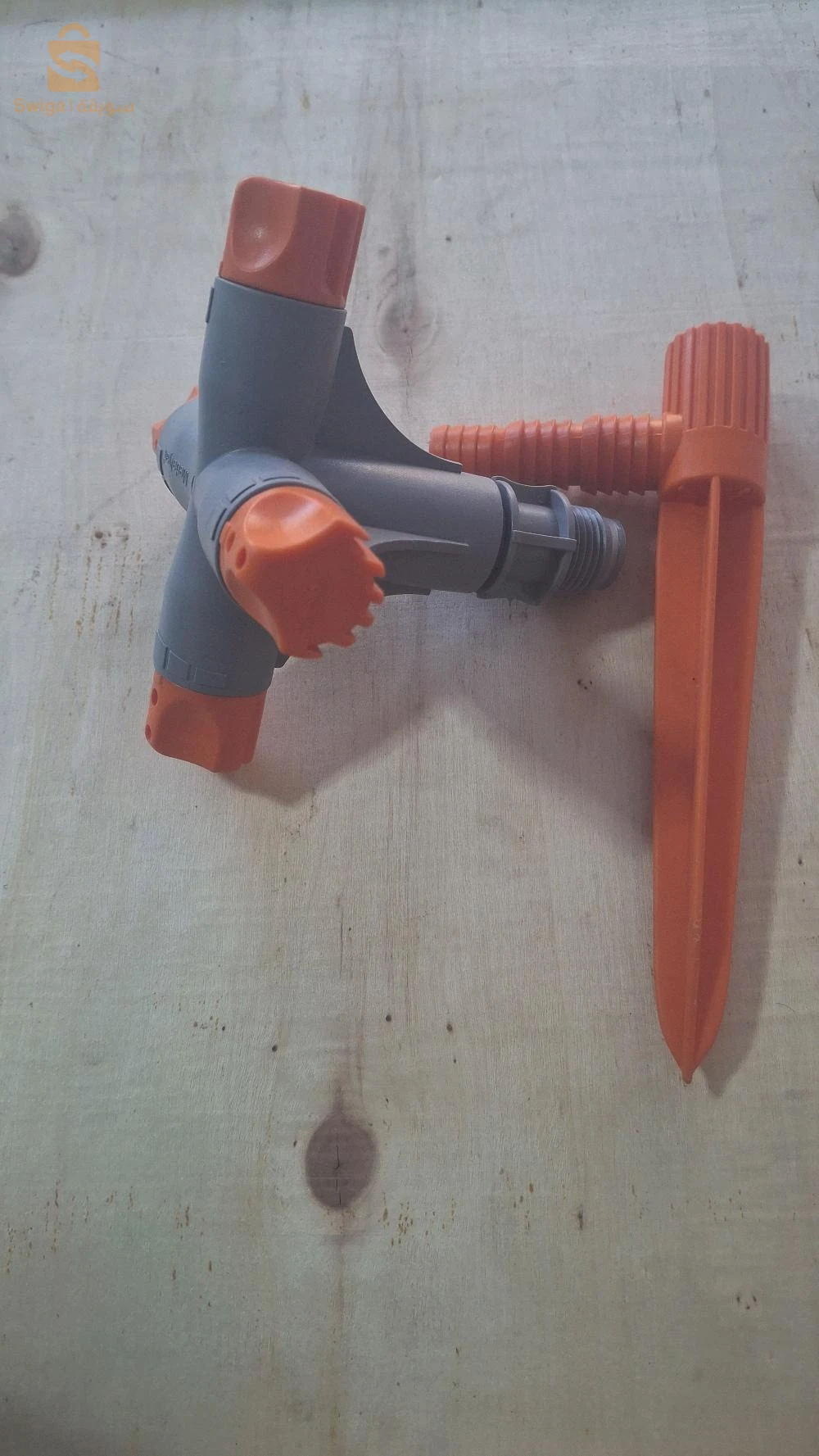 belhadriramadan1@gmail.com